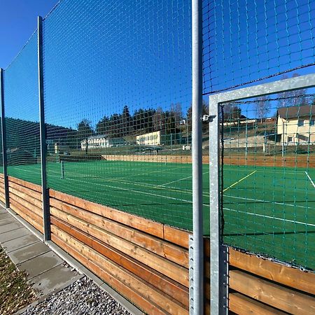 Penzion Tereza Horní Vltavice Exterior foto